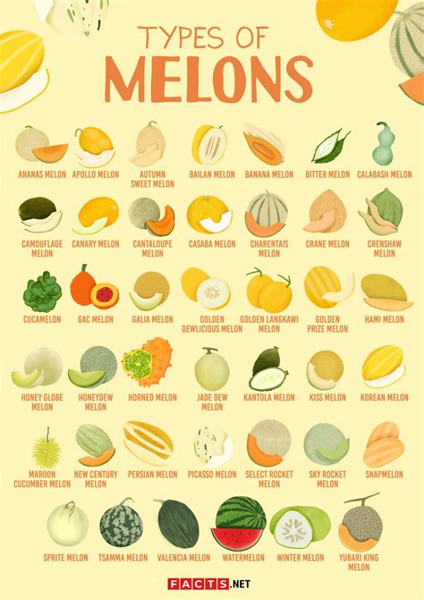 24 Types of Melons